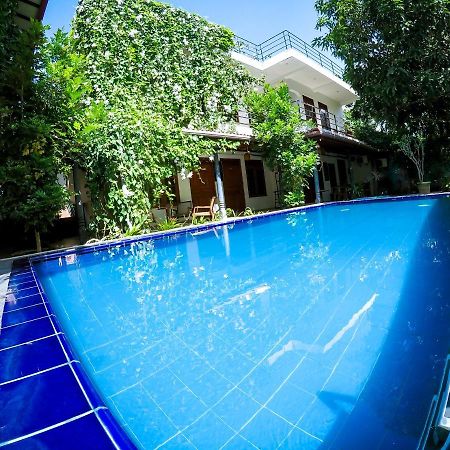 Mirissa Blue Whale Holiday Hotel Esterno foto