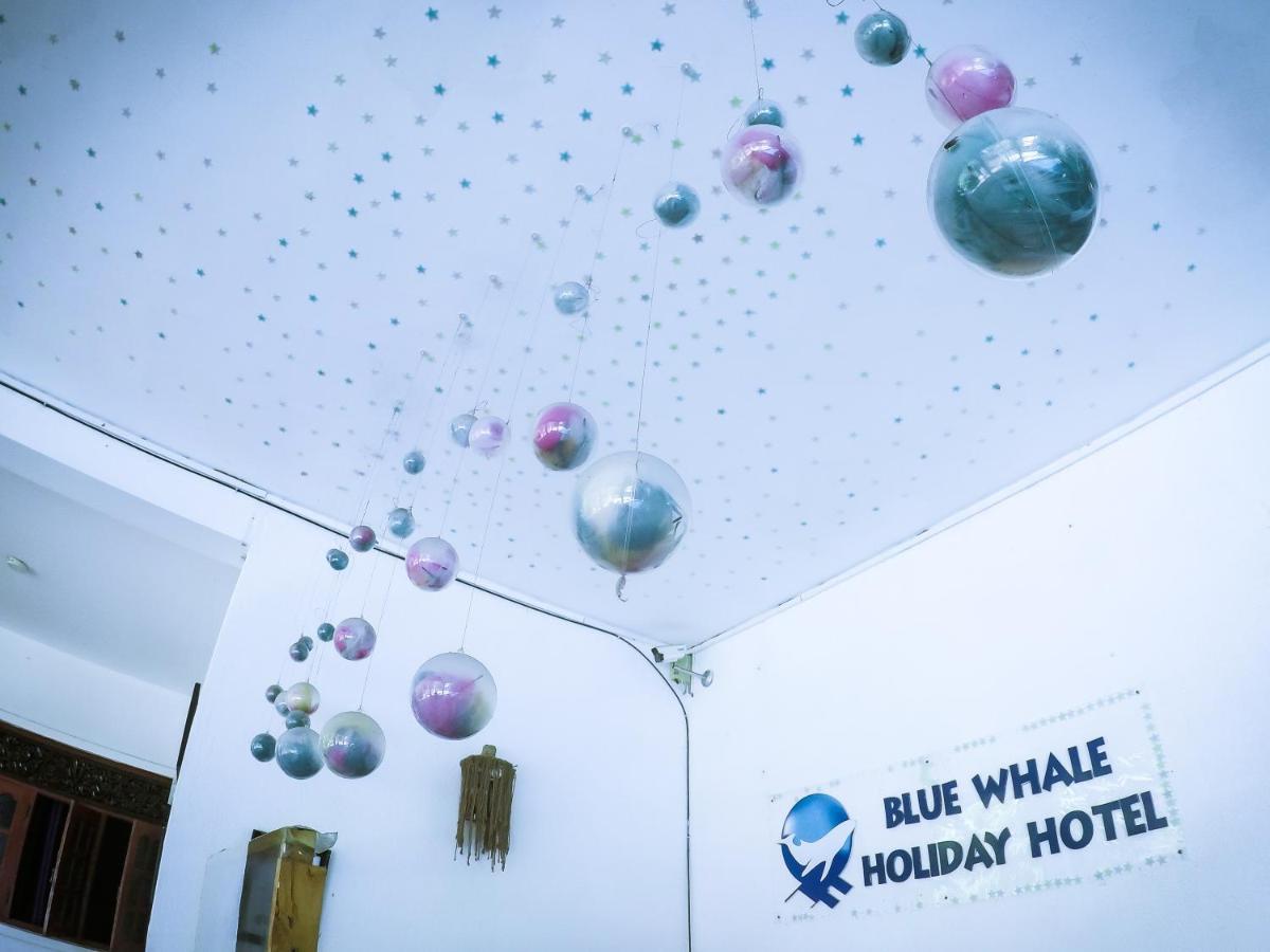 Mirissa Blue Whale Holiday Hotel Esterno foto